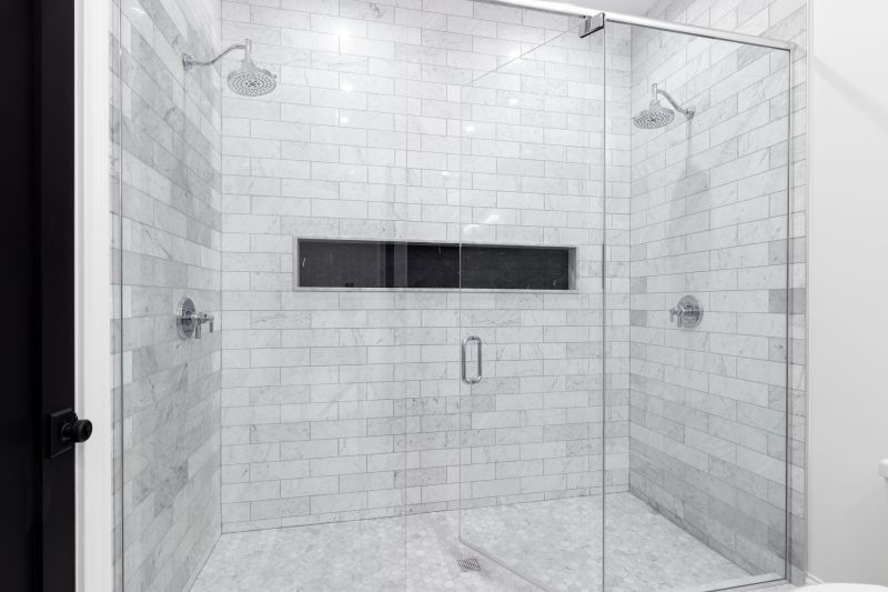 Elegant Frameless Shower Door