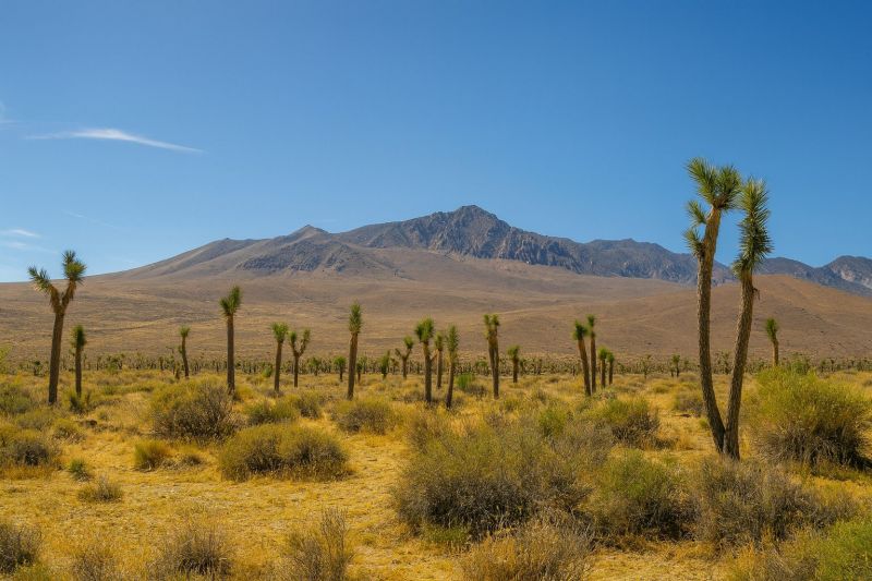 Best Bathroom Remodeling pros in Geneva, IL